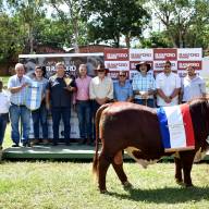 Desarrollan con éxito una nueva edición de la Expo Nacional Braford